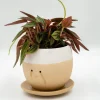 MAGS Pot à plante qui pleure (de joie)