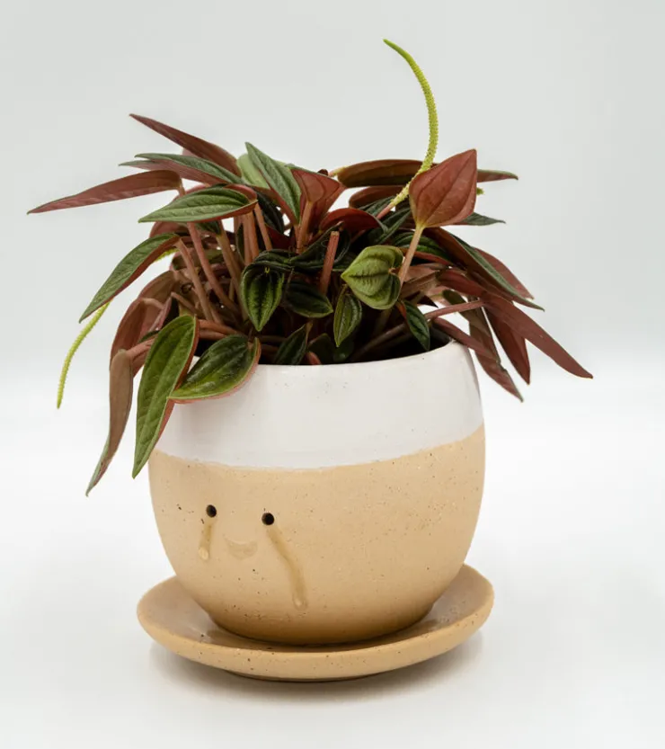 MAGS Pot à plante qui pleure (de joie)