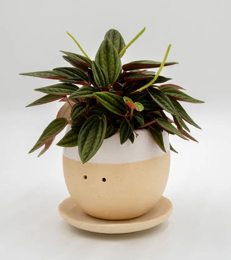 MAGS Pot à plante qui pleure (de joie)