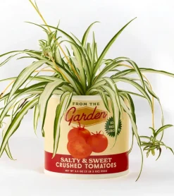 Ban.do Pot à plantes sauce tomate