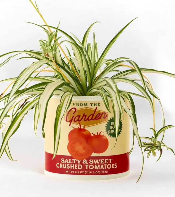 Ban.do Pot à plantes sauce tomate