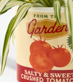 Ban.do Pot à plantes sauce tomate