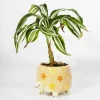 SASS AND BELL Pot à plantes tortue