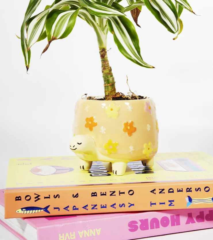 SASS AND BELL Pot à plantes tortue