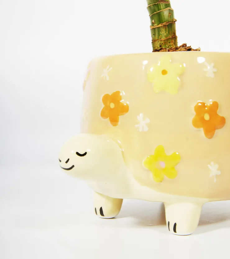 SASS AND BELL Pot à plantes tortue