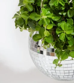 L'expressionist Pot de plantes disco boule à facettes