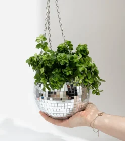 L'expressionist Pot de plantes disco boule à facettes