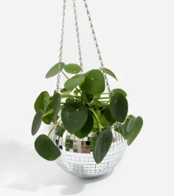 L'expressionist Pot de plantes disco boule à facettes