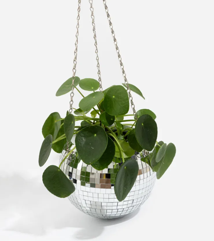 L'expressionist Pot de plantes disco boule à facettes