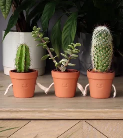 Pikkii Pots à succulentes qui se tiennent la main