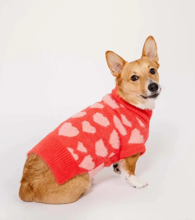 The furryfolks Pull coeurs pour animaux