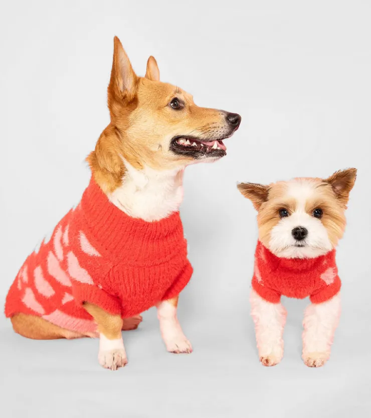 The furryfolks Pull coeurs pour animaux