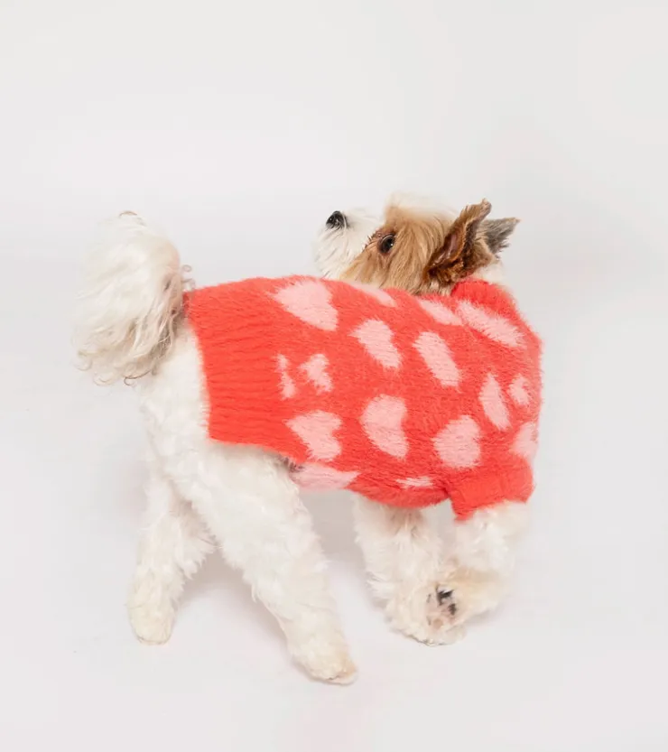 The furryfolks Pull coeurs pour animaux