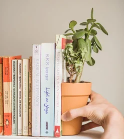 suck uk Serre-livres 2 en 1 / Pot à plantes