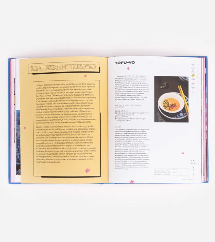 Hachette Pratique Tokyo stories