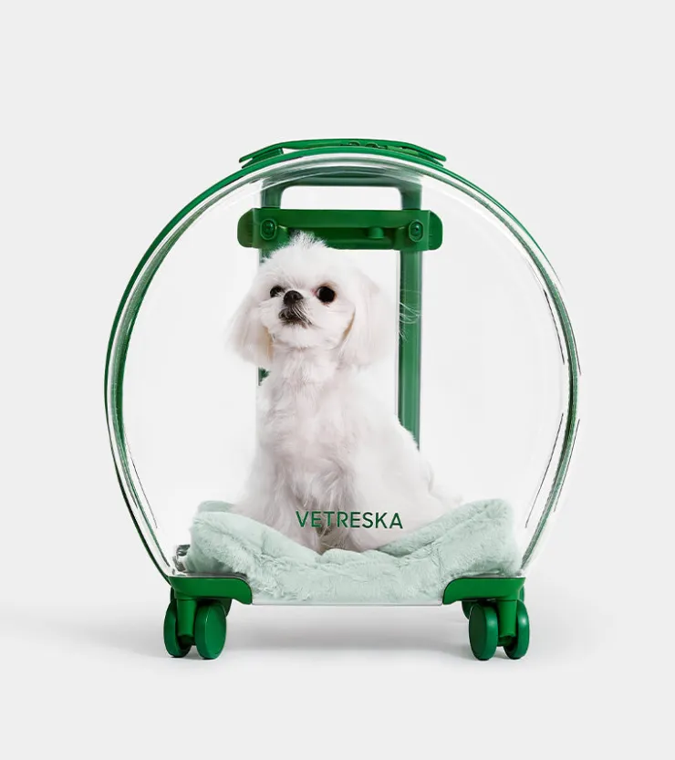 Vetreska Valise Bubble pour animaux - Vert