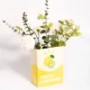 L'expressionist Vase brique de limonade