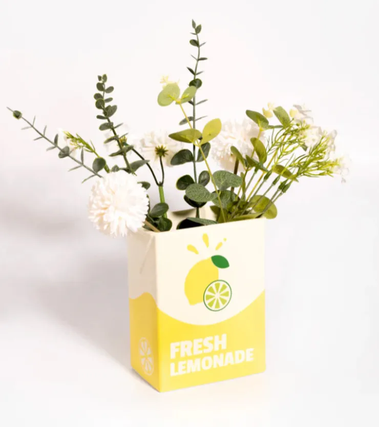 L'expressionist Vase brique de limonade