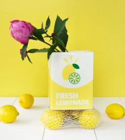 L'expressionist Vase brique de limonade