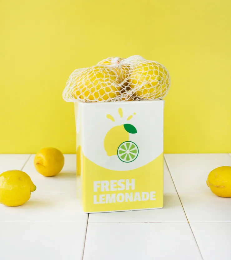 L'expressionist Vase brique de limonade