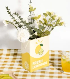 L'expressionist Vase brique de limonade