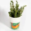 DOIY Vase Pot de Nouilles