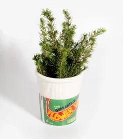 DOIY Vase Pot de Nouilles